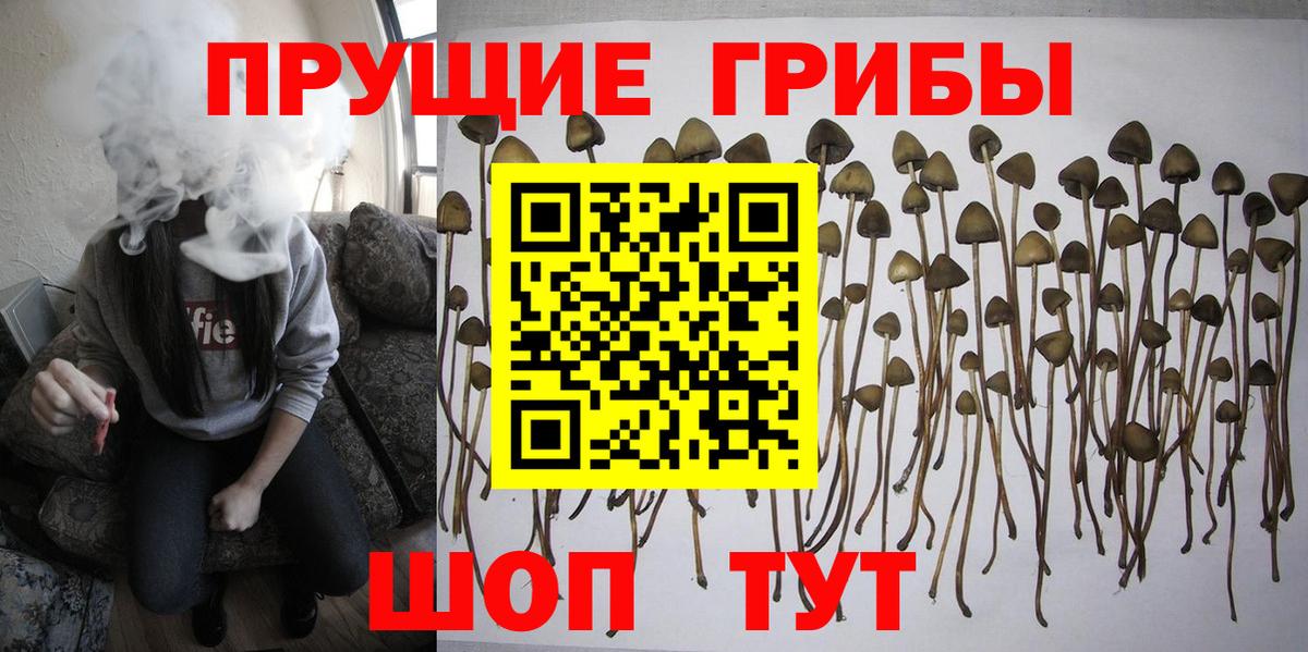 Псилоцибиновые грибы ЛСД  Вход с VPN  Южноуральск 
